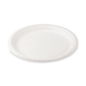 41026.jpg