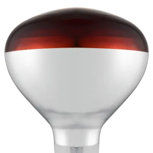 919217shatterproofbulb-red02.png